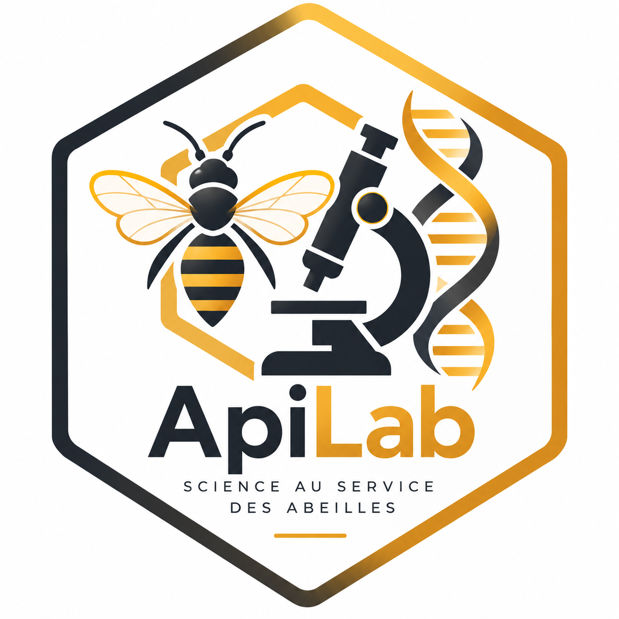 ApiLab